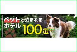 JRC×コストココラボキャンペーン用金券デザイン